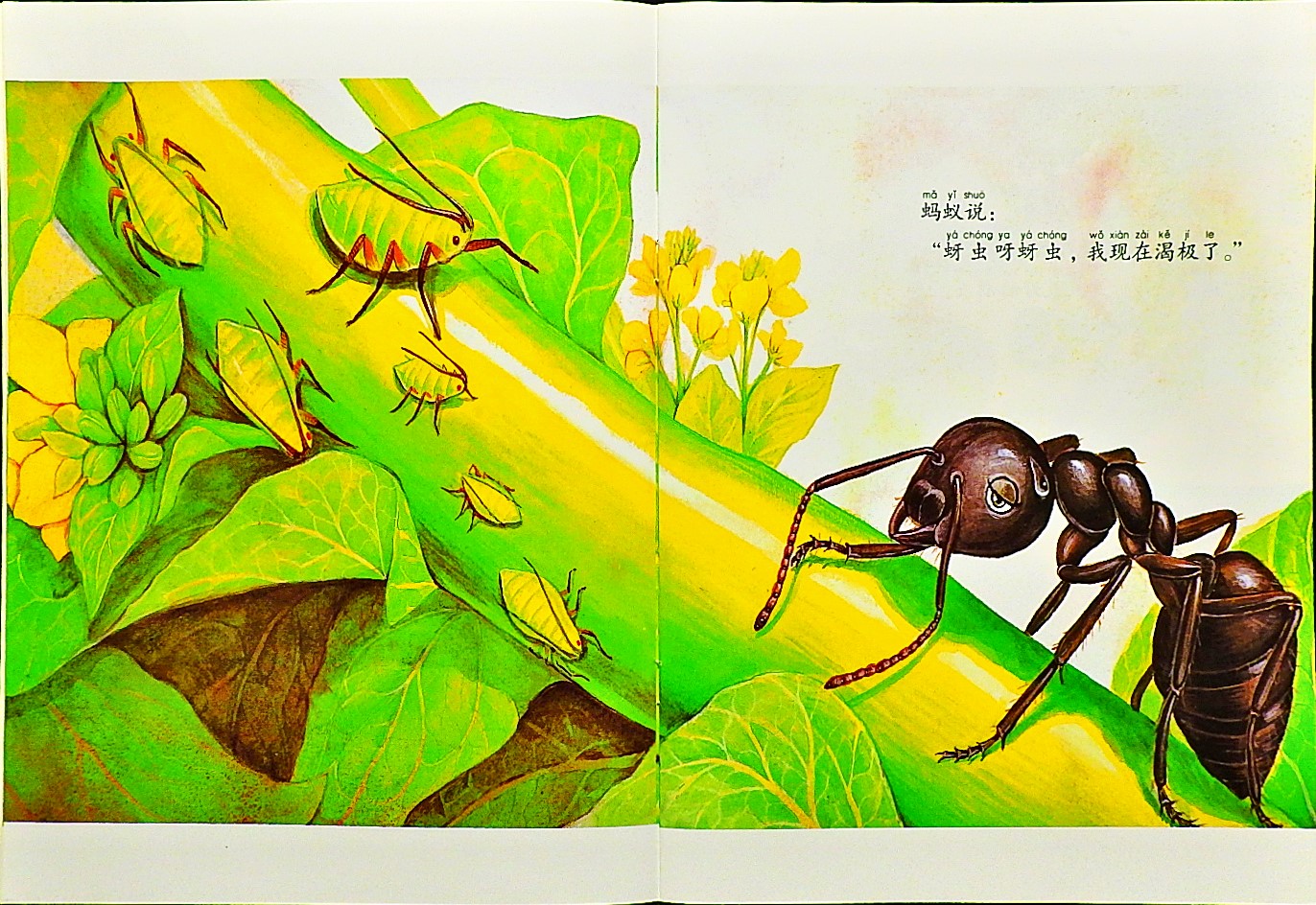 勇敢的小蚂蚁 (05),绘本,绘本故事,绘本阅读,故事书,童书,图画书,课外阅读